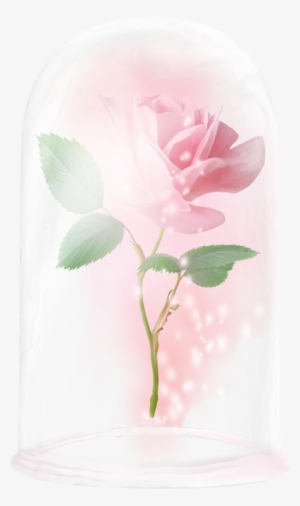 Floating Rose Beauty And The Beast Rose Enchanted Rose - Garden Roses