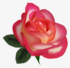 Beautiful Rose Png Clipart Image The Best Png Clipart - Rosas O Flores Png