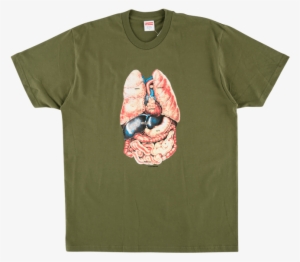 Banner Download Gucci Tee W D Red Motorcycle Shirt Roblox Transparent Png 420x420 Free Download On Nicepng - red motorcycle t shirt roblox png