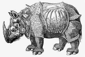 This Free Icons Png Design Of Armor Rhino