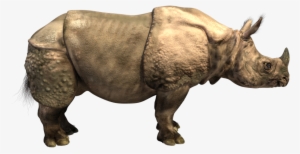 Rhino Horns Png - One Horned Rhino Png