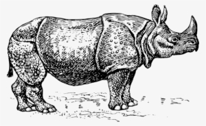 Javan Rhinoceros Unicorn Horn T-shirt