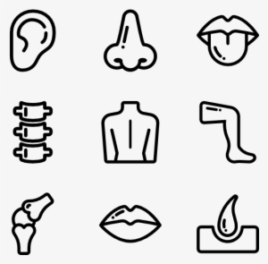 Body Parts Icon Png