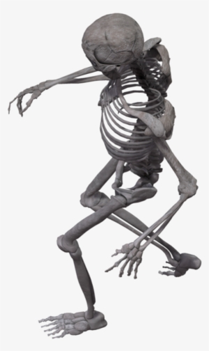 Skeleton Arm Png - Skeleton