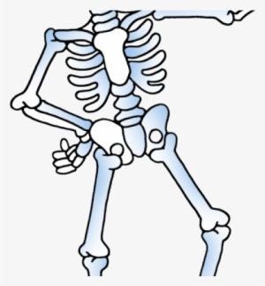 Skeleton Clipart Skelton - Skeleton Clipart