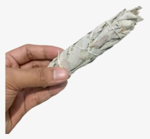 Large White Sage Smudge Stick - Silver