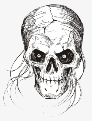 Drawing Black And White Sketch - Skeleton Sketch