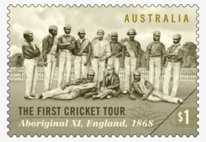 Stamp Stamp - Cricket