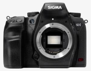 Sd1 Merrill Digital Slr Camera Refurbished Free Lens - Sigma Sd1 Merrill - Digital Camera - Slr
