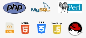 Searchlight Consulting Web Programming Languages - Most Popular Coding Languages