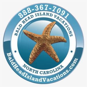 Bald Head Island Vacations - Echinoderm