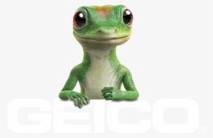 Geico Auto Quote Cars - Geico Gecko Png