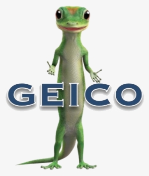 Geico Ux/ui Designer - Geico Gecko