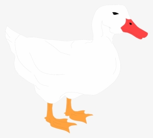 Duck - White Duck Clipart Transparent