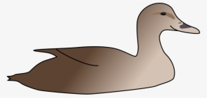 Duck Clipart Png For Web
