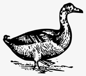 This Free Clipart Png Design Of Duck Clipart