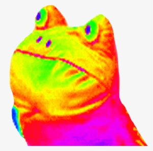 Rainbow Frog Png Clip Library Library - Rainbow Frog Png