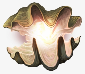 Naga Shell - Giant Clam