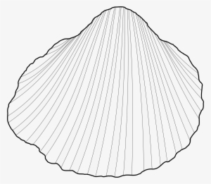 Clam Shell Clipart Download - Clipart Cockle
