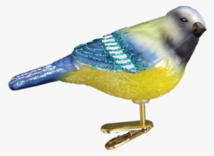 Blue Tit Ornament - Old World Christmas Clip Ornament - Steller's Jay
