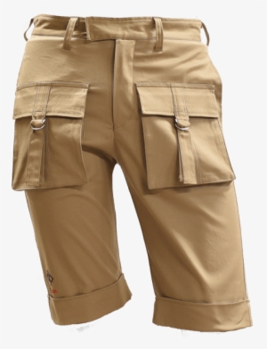 Clothes - Cargo Shorts Transparent Background
