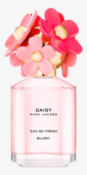 The Marc Jacobs Daisy Dream Blush Edition Is An Airy - Marc Jacobs Perfume Daisy Blush