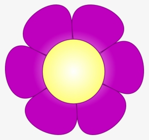Daisy Flower
