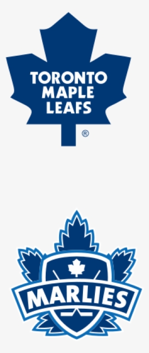 Jonas Gustavsson - Toronto Maple Leafs