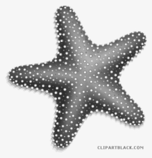 Svg Royalty Free Stock Page Of Clipartblack Com Grayscale - Starfish Clipart