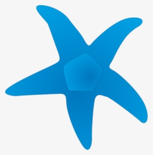 Blue Drawing Panda Free Images Bluestarfishdrawing - Seastar Vector