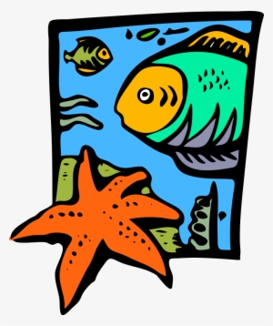 Starfish Clip Art Download - Marine Life Clipart