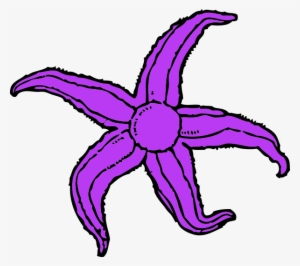 Purple Starfish Clipart - Starfish Clip Art