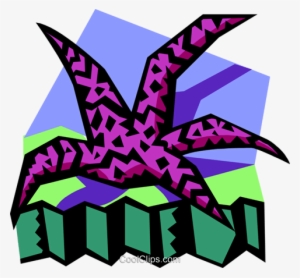Stylized Starfish Royalty Free Vector Clip Art Illustration