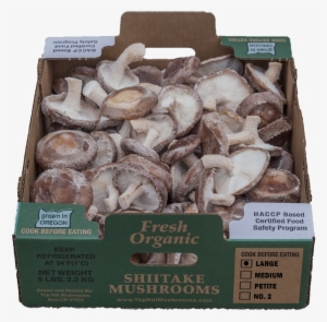 Great For Grilling Or Bbq, Roasting, Stuffing, Or Braised - Shiitake