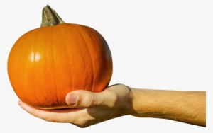 Hand Holding Orange Pumpkin Png Image - Hand Holding A Pumpkin