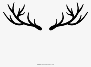 Deer Horns Coloring Page - Antler