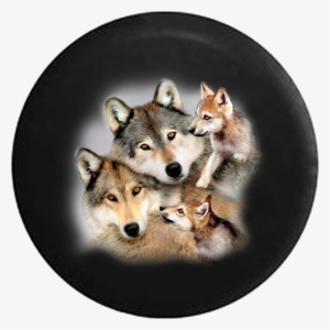 Pack Of Wolves Curled Up Bright Eyes Jeep Camper Spare