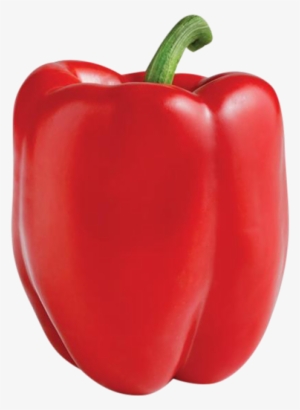 Red Bell Pepper - Red Bell Pepper Png