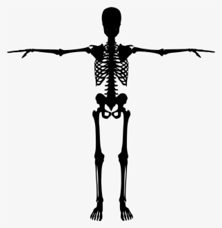 Silhouette Skeleton At Getdrawings - Skeleton Silhouette Png