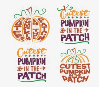 Cutest Pumpkin In The Patch Svg In Svg, Dxf, Png, Eps, - Cutest Pumpkin In The Patch