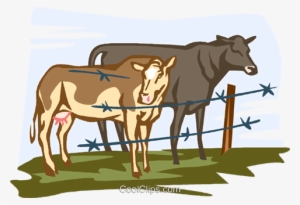Cows Royalty Free Vector Clip Art Illustration - Cattle
