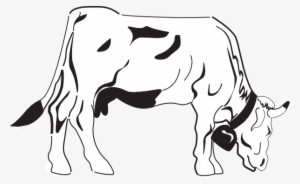 Svg Royalty Free Library Cows Grazing Clipart - Coloring Book