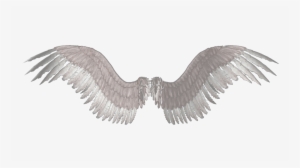Transparent Feathers Supernatural - Wings Png