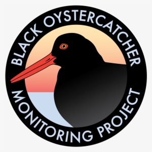 Black Oystercatcher - Va Workers Compensation Commission Logo