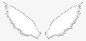 Angel Wings - Hōtarō Oreki