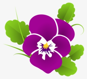 Pansy Clipart Purple Pansy - Beautiful Rose Good Morning