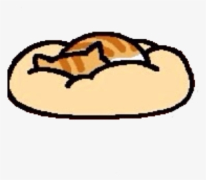 Profile Image - Cat
