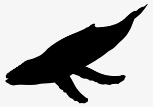 Humpback Whales - Unicorn Silhouette Head Png