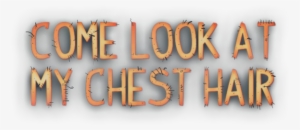 Chest Hair Png - T Shirt Roblox Musculos Transparent PNG - 420x420 - Free  Download on NicePNG