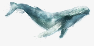 Click And Drag To Re-position The Image, If Desired - Humpback Whale Painting